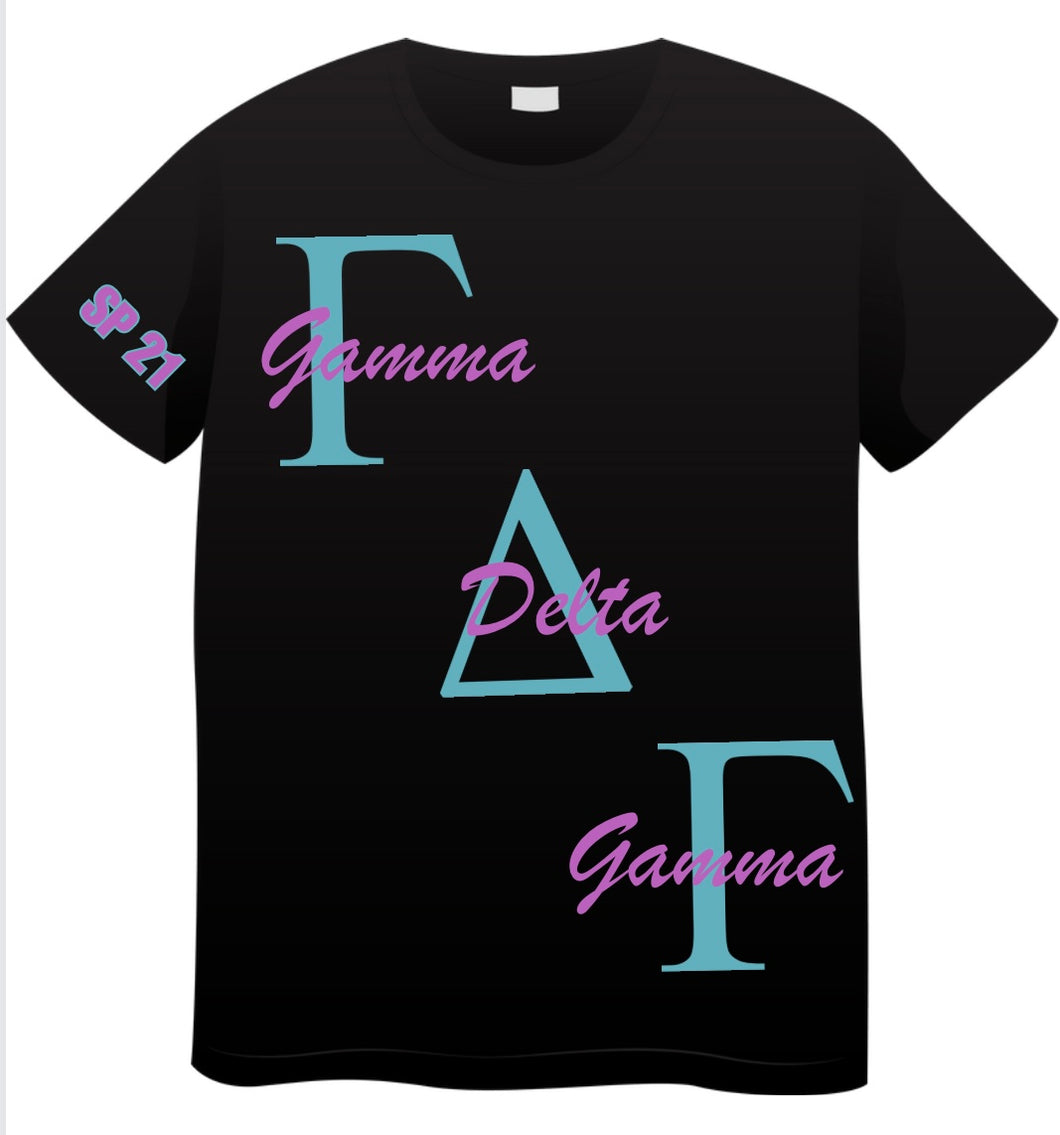 Gamma Delta Gamma Sorority T-Shirt/Basic Sorority Greek Letter T Shirt / Comfort Colors Stitched Crew Neck T-Shirt / Greek Sorority Shirt